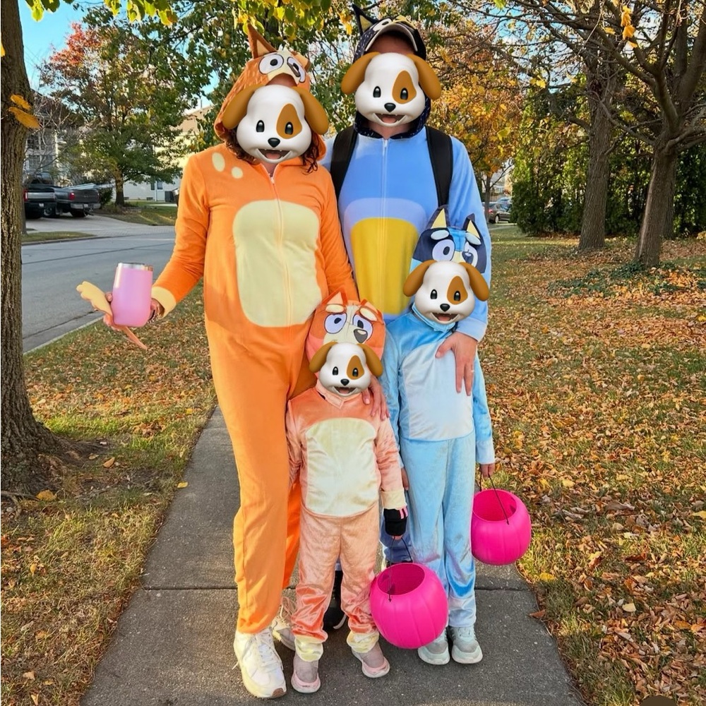 Bluey family costumes
